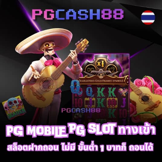 pg vip